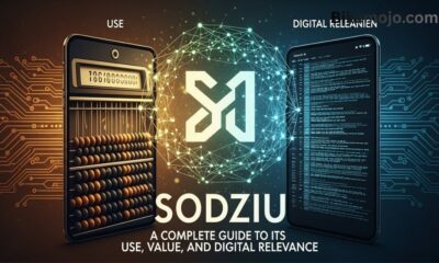 Sodziu: A Complete Guide to Its Use, Value, and Digital Relevance