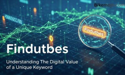 Findutbes: Understanding The Digital Value of a Unique Keyword